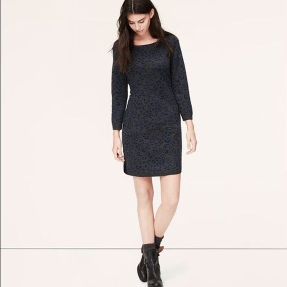 LOFT Cheetah Print Gray & Blue Sweater Dress SZ M